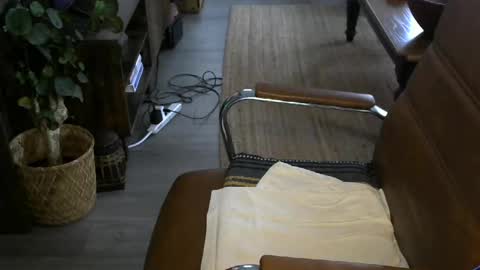 nareth338 online show from April 8, 2026, 2:50 pm