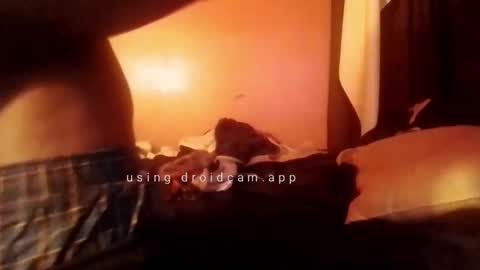 Snapshot of nathanbutler0 chatting on October 31, 2025, 5:52 am nathanbutler0 online show from October 31, 2025, 5:52 am