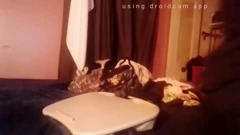 Snapshot of nathanbutler0 chatting on November 1, 2025, 2:52 pm nathanbutler0 online show from November 1, 2025, 2:52 pm