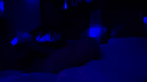 Haven online show from January 8, 2026, 9:22 am