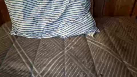 Snapshot of nativejoker_1995 chatting on October 4, 2025, 9:13 pm nativejoker_1995 online show from October 4, 2025, 9:13 pm