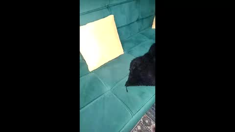 call me sheyda online show from April 21, 2026, 9:06 pm