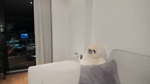 Gigi Chu  online show from January 16, 2025, 6:16 pm