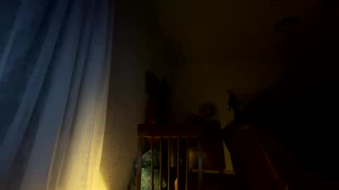 Snapshot of nboss55 chatting on October 8, 2025, 5:16 am nboss55 online show from October 8, 2025, 5:16 am