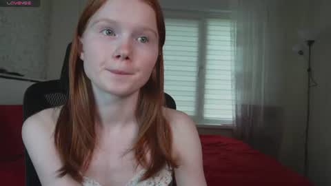 Nellie online show from July 17, 2026, 12:12 pm