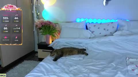 Snapshot of nevergiveup_1 chatting on March 17, 2026, 12:08 pm never give up online show from March 17, 2026, 12:08 pm