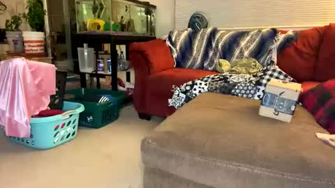 neverwinter44 online show from April 23, 2026, 5:19 am