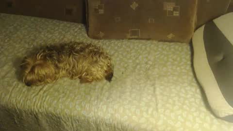 Lilly  online show from October 22, 2025, 2:45 am