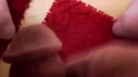 BookWriter online show from December 2, 2024, 6:09 am