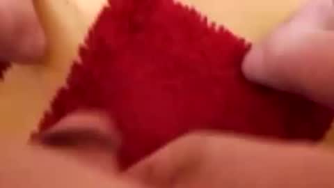 BookWriter online show from December 8, 2024, 7:05 am