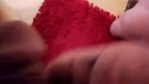 BookWriter online show from December 13, 2024, 8:20 am