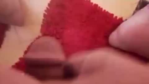 BookWriter online show from December 20, 2024, 8:17 am