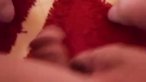 BookWriter online show from December 26, 2024, 6:30 am