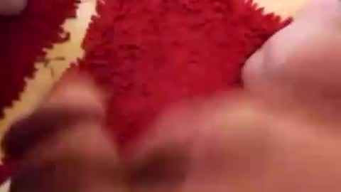 BookWriter online show from December 31, 2024, 5:55 am