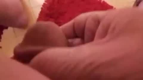 BookWriter online show from January 11, 2025, 7:39 am