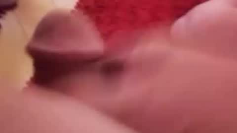 BookWriter online show from January 14, 2025, 7:06 am