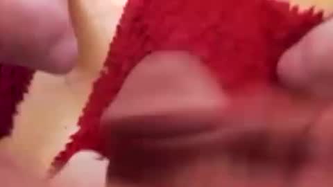 BookWriter online show from January 16, 2025, 6:56 am