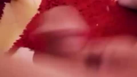 BookWriter online show from January 18, 2025, 6:56 am