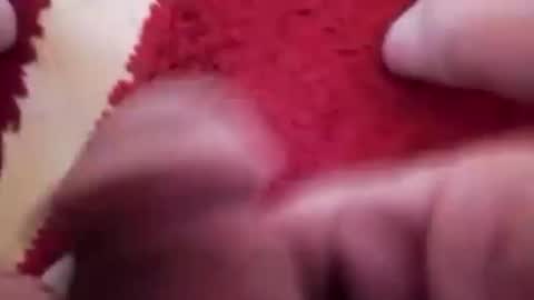 BookWriter online show from January 20, 2025, 6:53 am