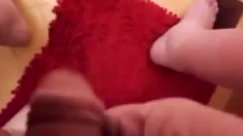 BookWriter online show from January 22, 2025, 6:52 am