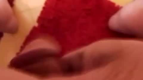 BookWriter online show from January 25, 2025, 7:49 am