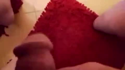 BookWriter online show from February 1, 2025, 7:15 am