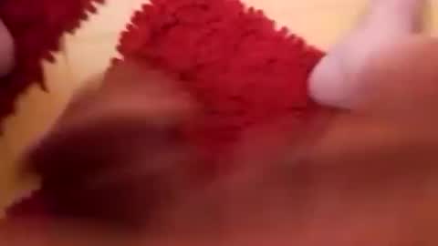 BookWriter online show from February 16, 2025, 7:48 am