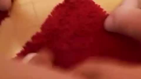 BookWriter online show from February 17, 2025, 7:26 am