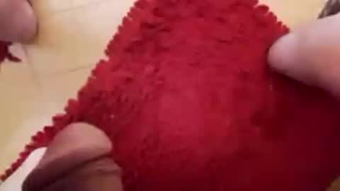 BookWriter online show from February 23, 2025, 6:49 am