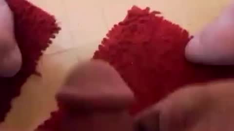 BookWriter online show from February 24, 2025, 6:38 am