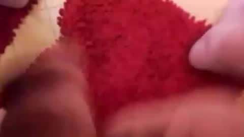 BookWriter online show from March 2, 2025, 7:43 am