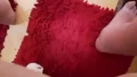 BookWriter online show from March 4, 2025, 6:58 am