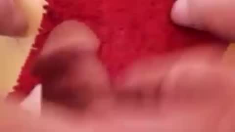 BookWriter online show from March 12, 2025, 5:24 am