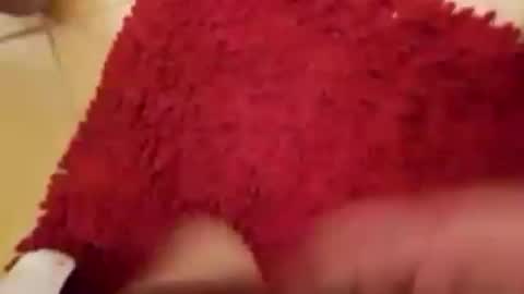 BookWriter online show from September 14, 2025, 4:55 am