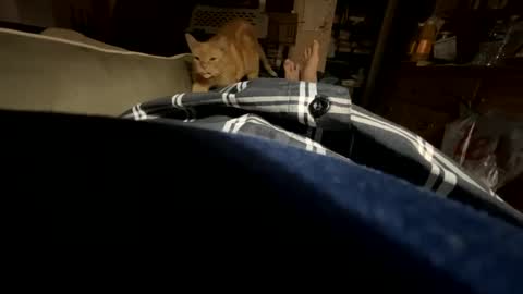 Snapshot of ngianop chatting on October 23, 2025, 7:40 am ngianop online show from October 23, 2025, 7:40 am