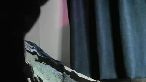 Snapshot of nicebbc7 chatting on December 22, 2024, 5:56 am Black Tarzan online show from December 22, 2024, 5:56 am