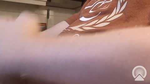 nick_x_b online show from December 9, 2024, 5:19 pm