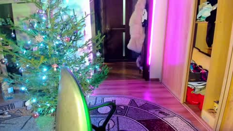 Snapshot of nicky_weekends chatting on January 14, 2025, 12:00 am Nicky Weekends online show from January 14, 2025, 12:00 am