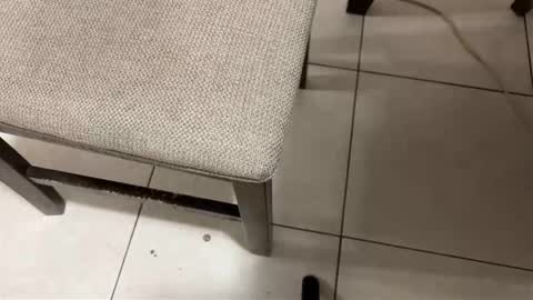 Carlos Nico online show from March 14, 2026, 8:31 am