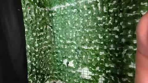 nicoleirisxxx online show from July 1, 2026, 5:09 am