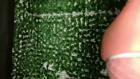 nicoleirisxxx online show from July 3, 2026, 5:36 am