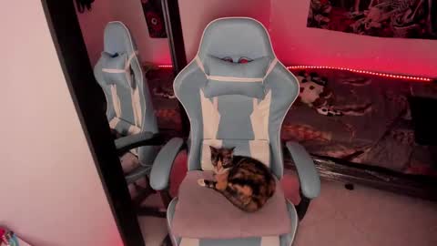 Nicol independent model online show from January 14, 2025, 2:29 am