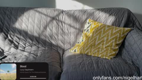 Snapshot of nigelhart chatting on January 17, 2025, 3:22 pm Nigel Hart online show from January 17, 2025, 3:22 pm