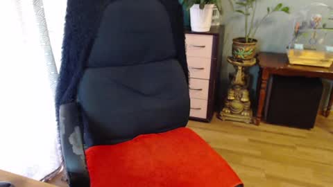 Nika online show from July 28, 2026, 12:48 pm