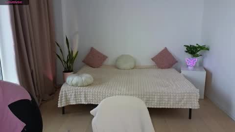 Nika light online show from November 18, 2025, 11:14 am