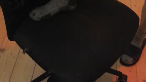 Snapshot of nikitalo chatting on October 30, 2025, 4:36 am nikitalo online show from October 30, 2025, 4:36 am