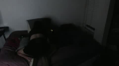 nikkigamer online show from November 30, 2025, 11:47 am