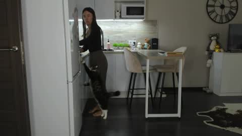 Bella online show from April 5, 2026, 10:34 am