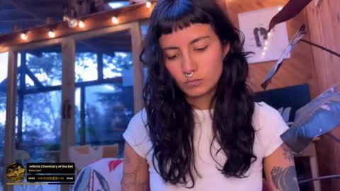 Nina.  online show from February 13, 2026, 10:06 pm