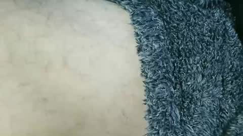 nineinchhard online show from March 15, 2026, 2:12 pm